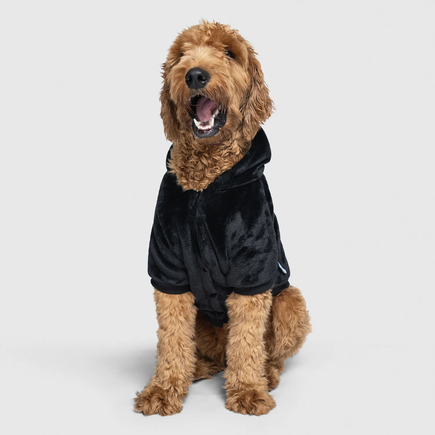 All Black - Image 2