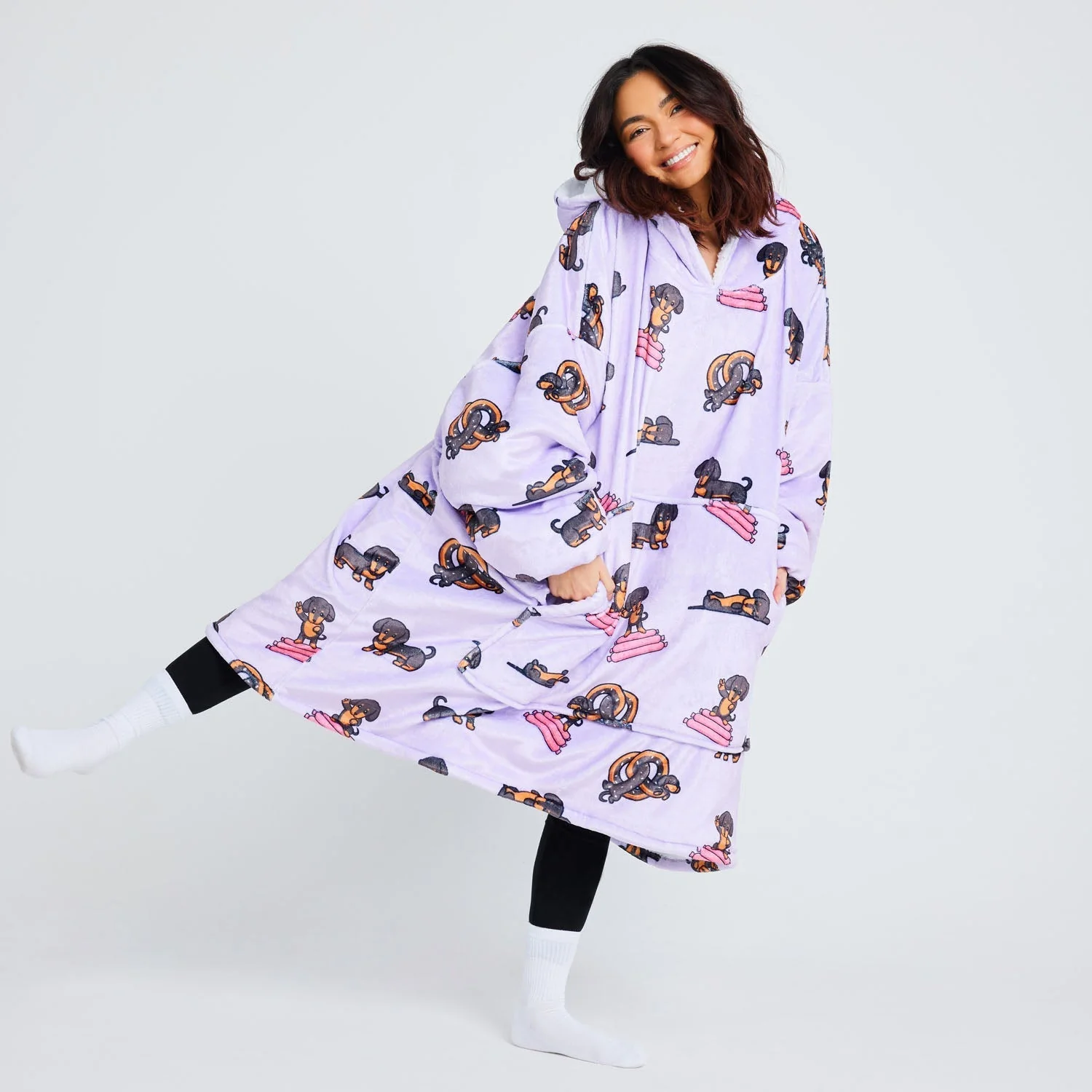 Dachshund - Image 2