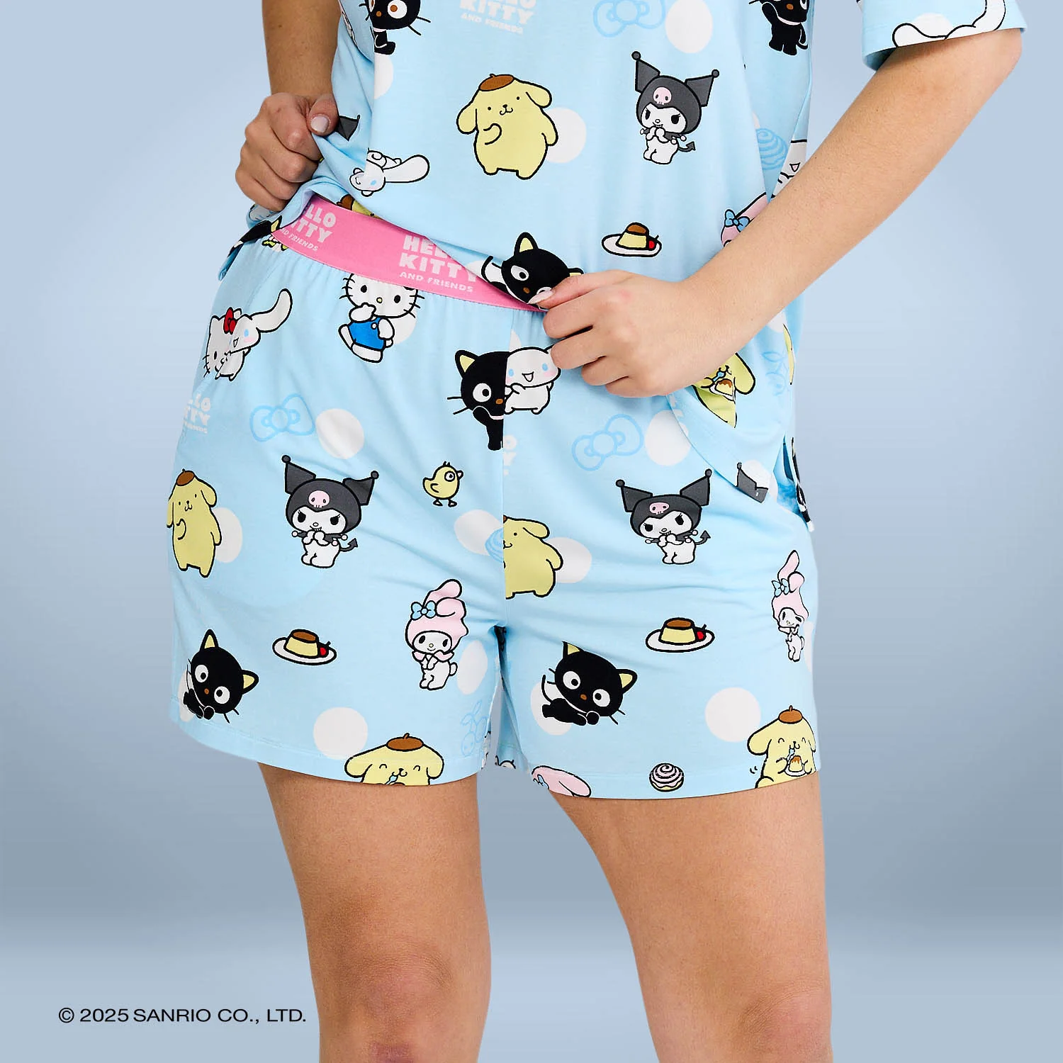 Hello Kitty & Friends - Image 3