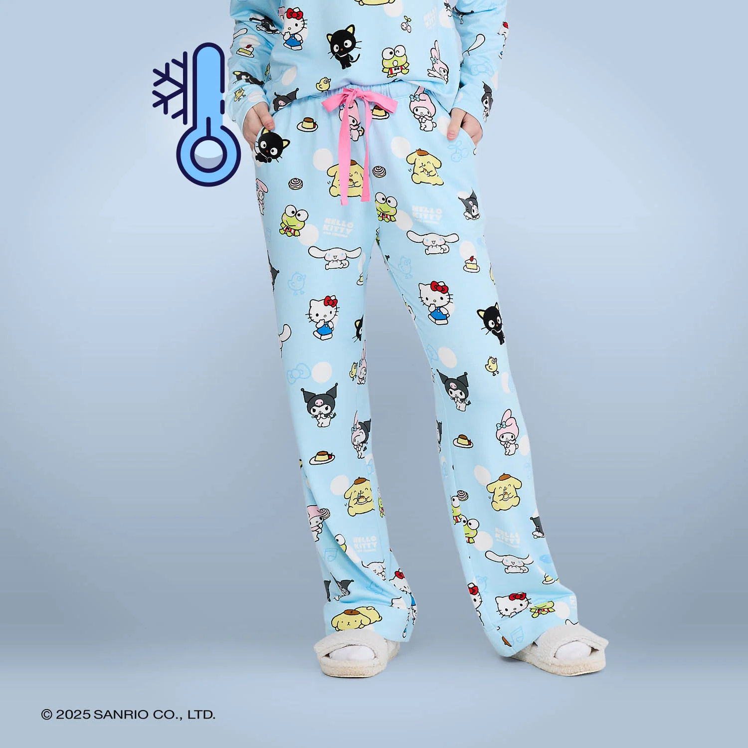 Hello Kitty & Friends